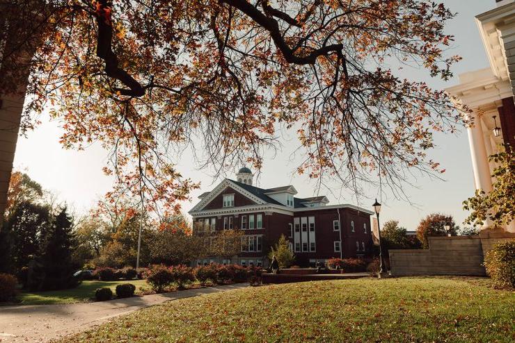 秋天电子游艺信誉排行校园的风景，前面是树枝，地上是树叶